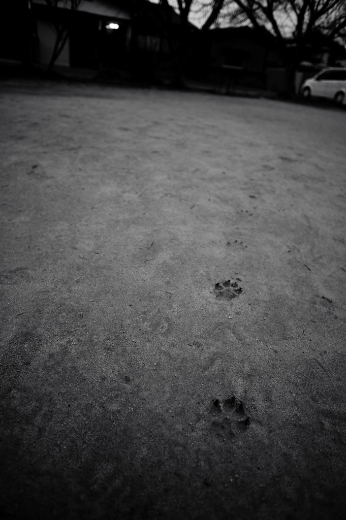 left his footprints