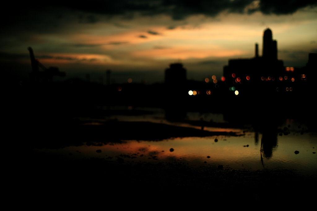 in the twilight