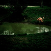 stand alone