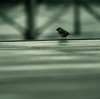 alone