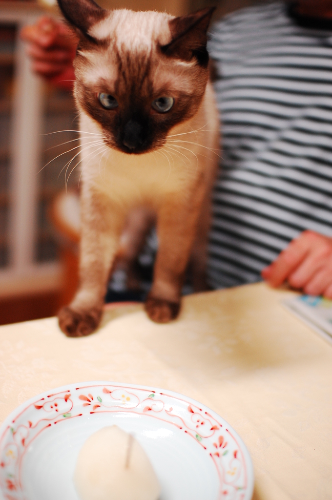 最後のひとつ！