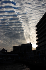 空模様