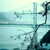 関門海峡の春