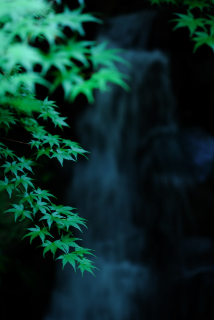 涼感