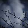 reach for the sky