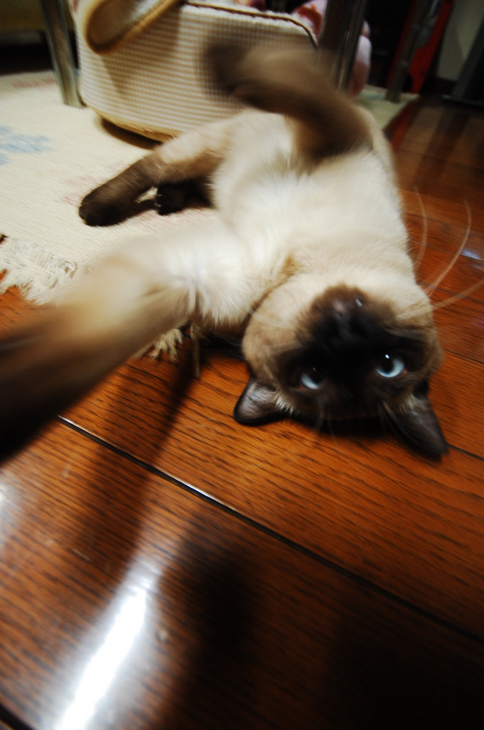 おりゃああぁあぁぁぁ