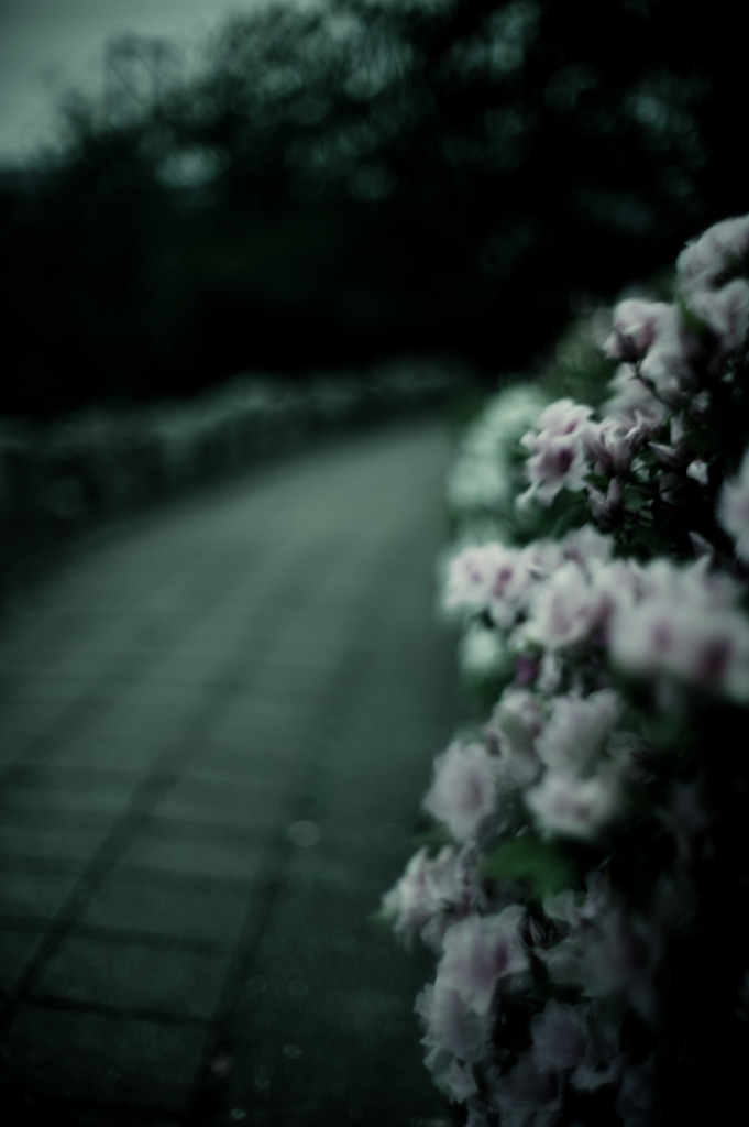 通り道