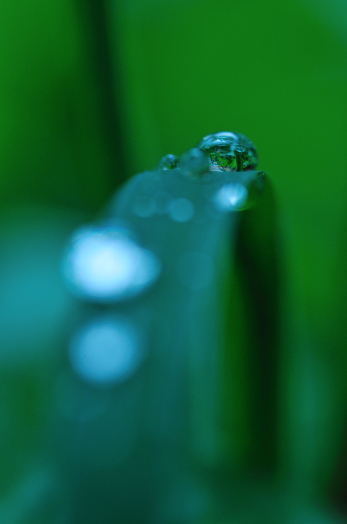 water crystal on grass arch