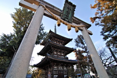 初詣は神社派？お寺派？