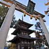 初詣は神社派？お寺派？