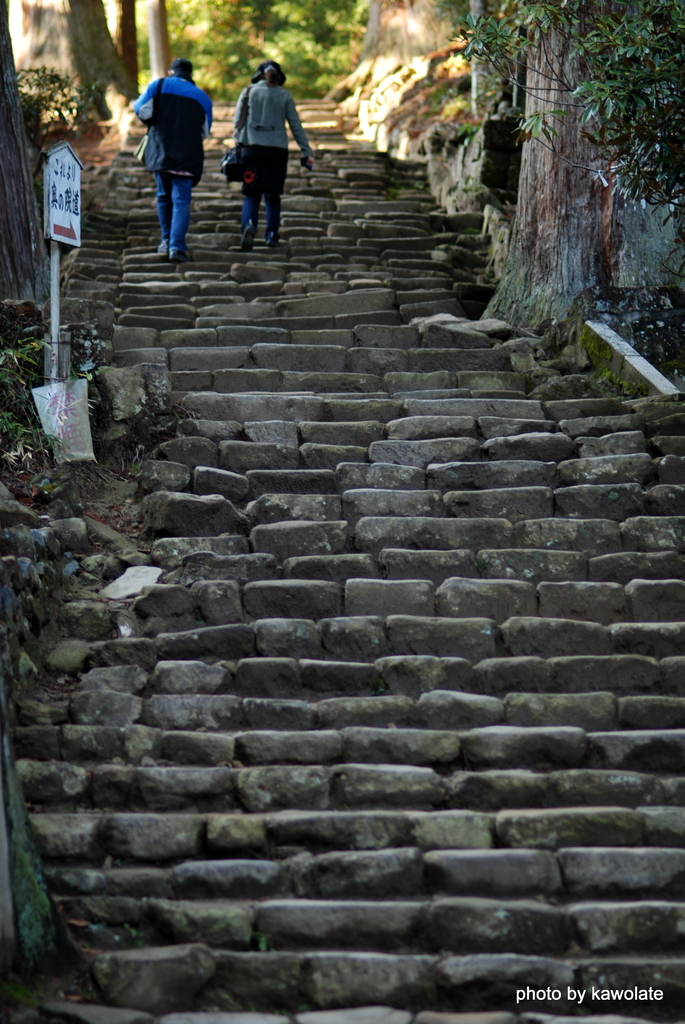 古寺の石階段