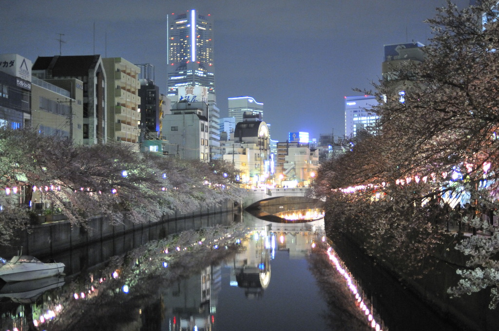 ヨコハマ桜模様