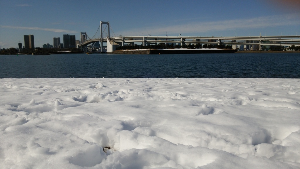 雪のお台場海浜公園