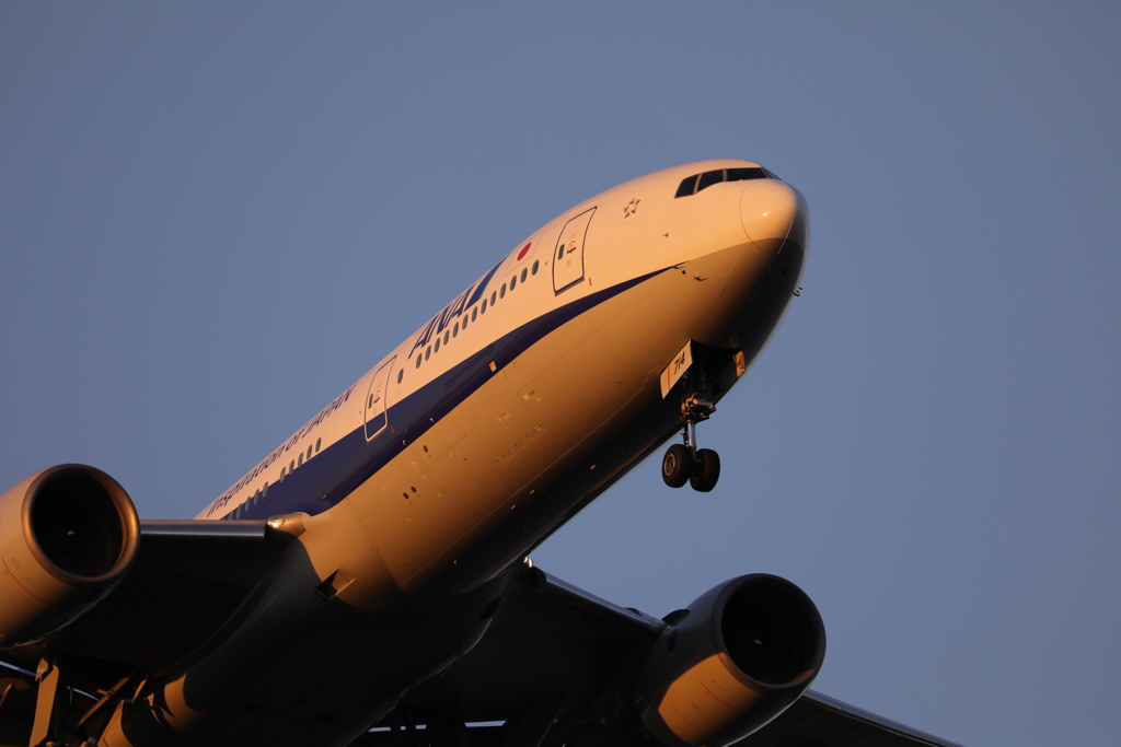 オレンジ色のB777