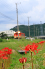 ローカル電車