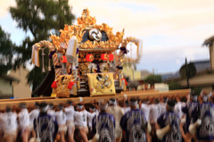 動