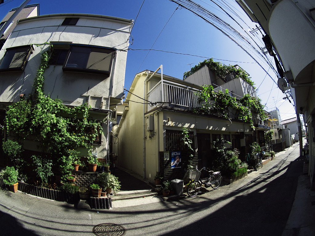 此花区の裏通り