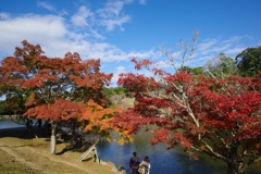 奈良公園　浮御堂
