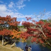 奈良公園　浮御堂