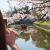 彦根城の春1