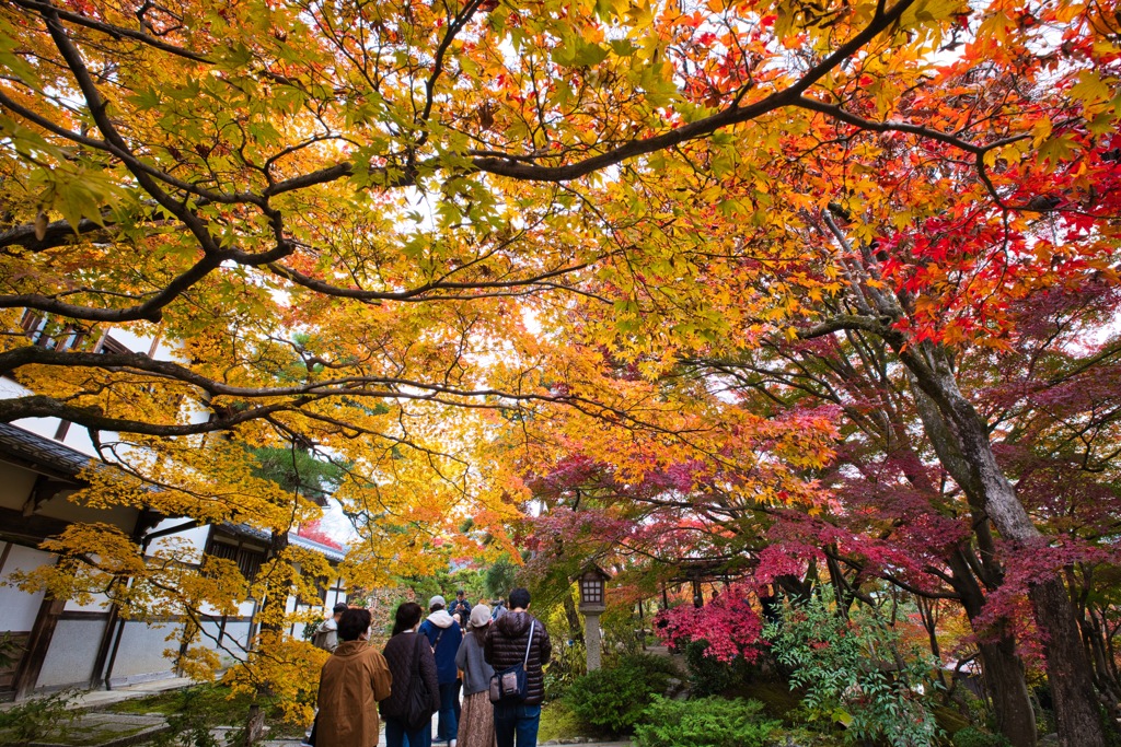 常寂光寺２