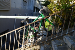 階段上の自転車