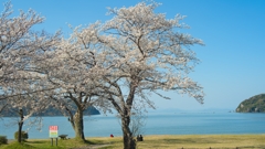 琵琶湖岸にて