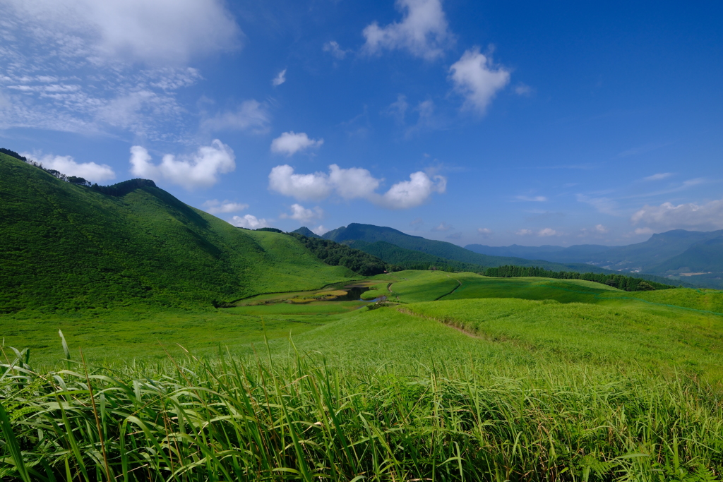 曽爾高原3