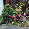 風化していく過程