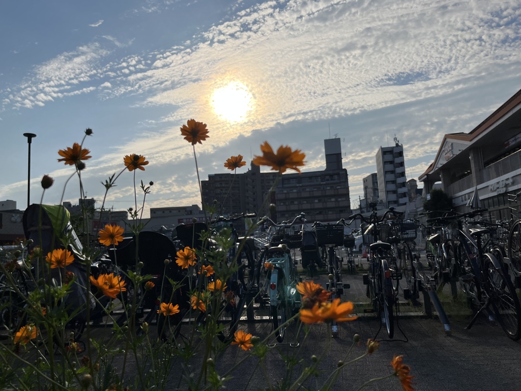 魔光