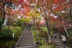 常寂光寺３