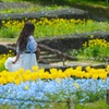 盛春の乙女