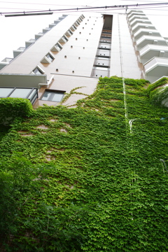 緑の楽園