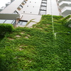 緑の楽園
