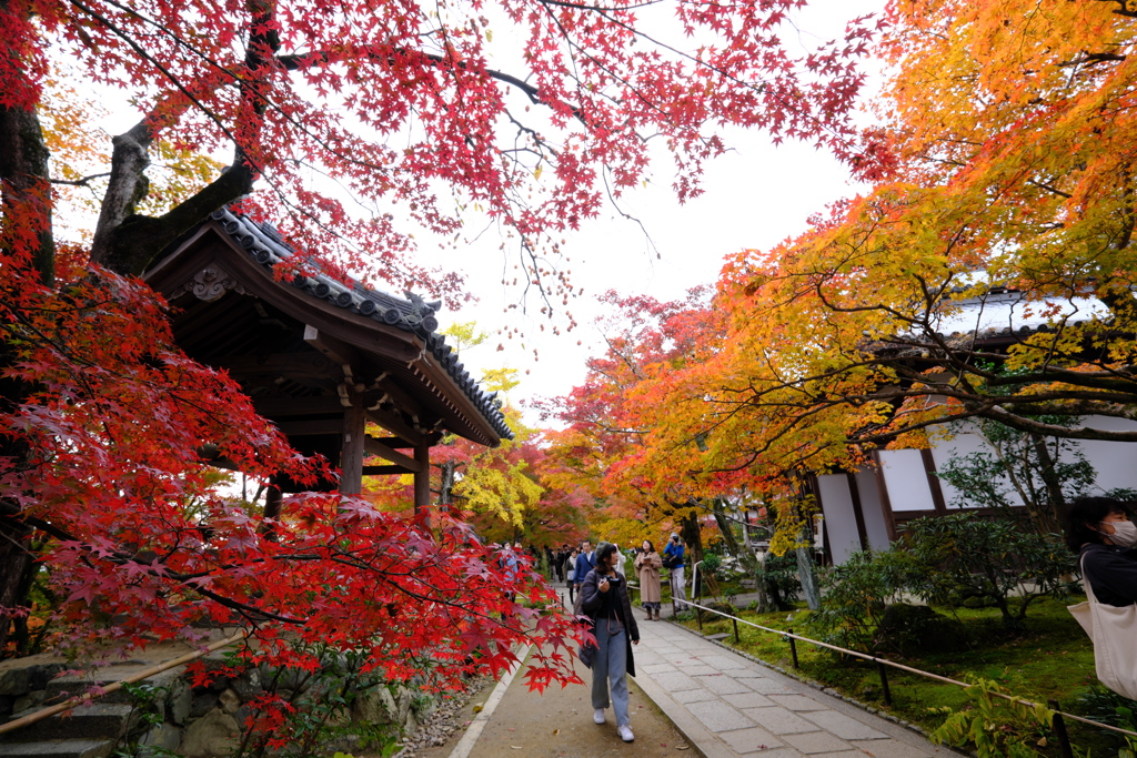 常寂光寺５