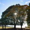 奈良公園飛火野の秋