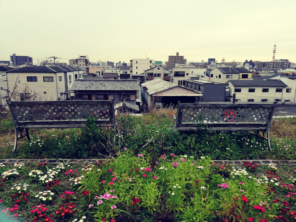 対のベンチ