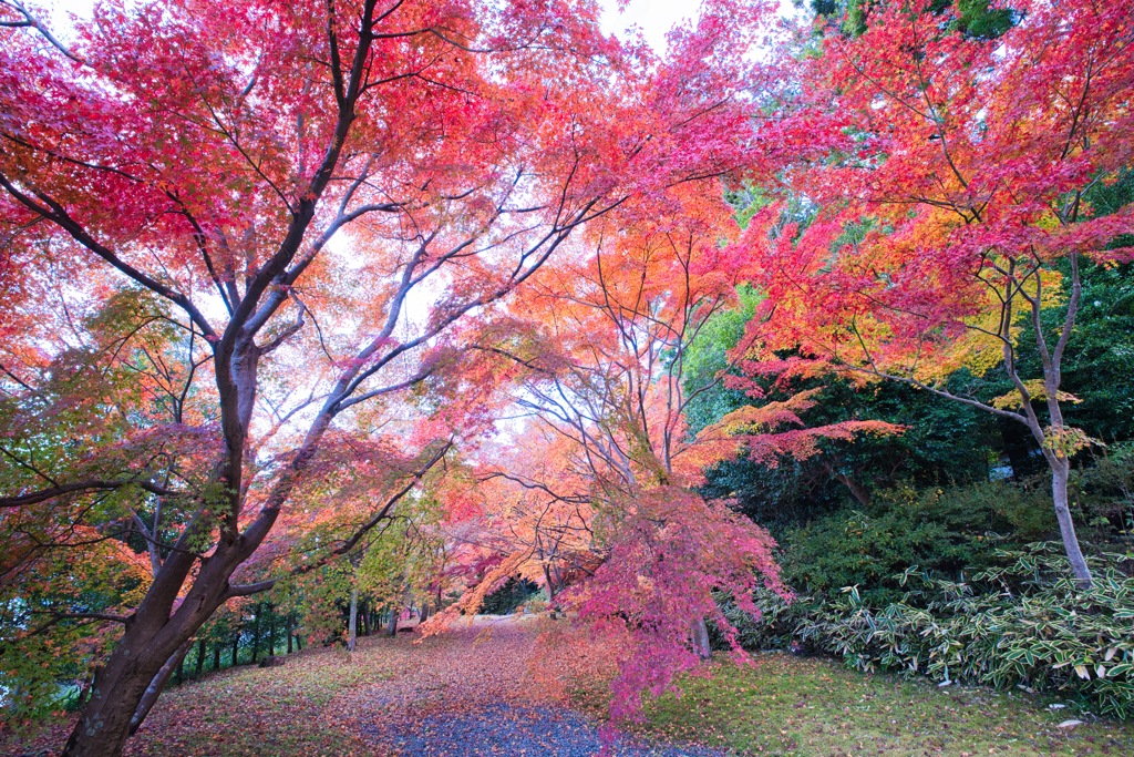 弘川寺