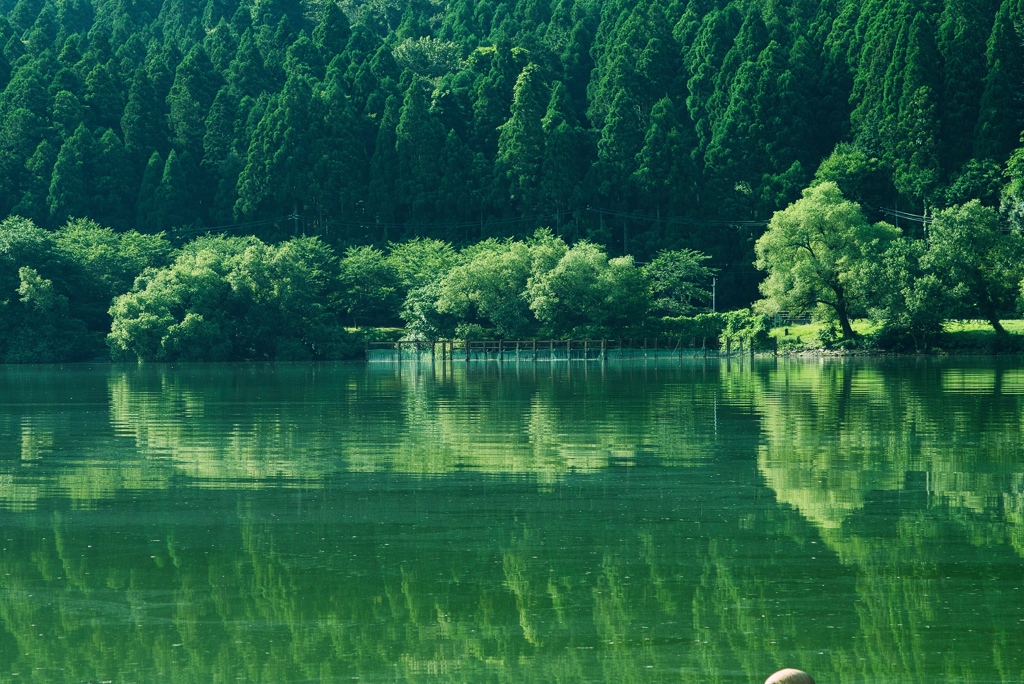 余呉湖3