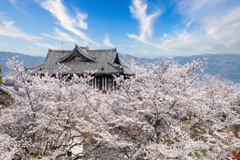 郡山城跡から東を望む