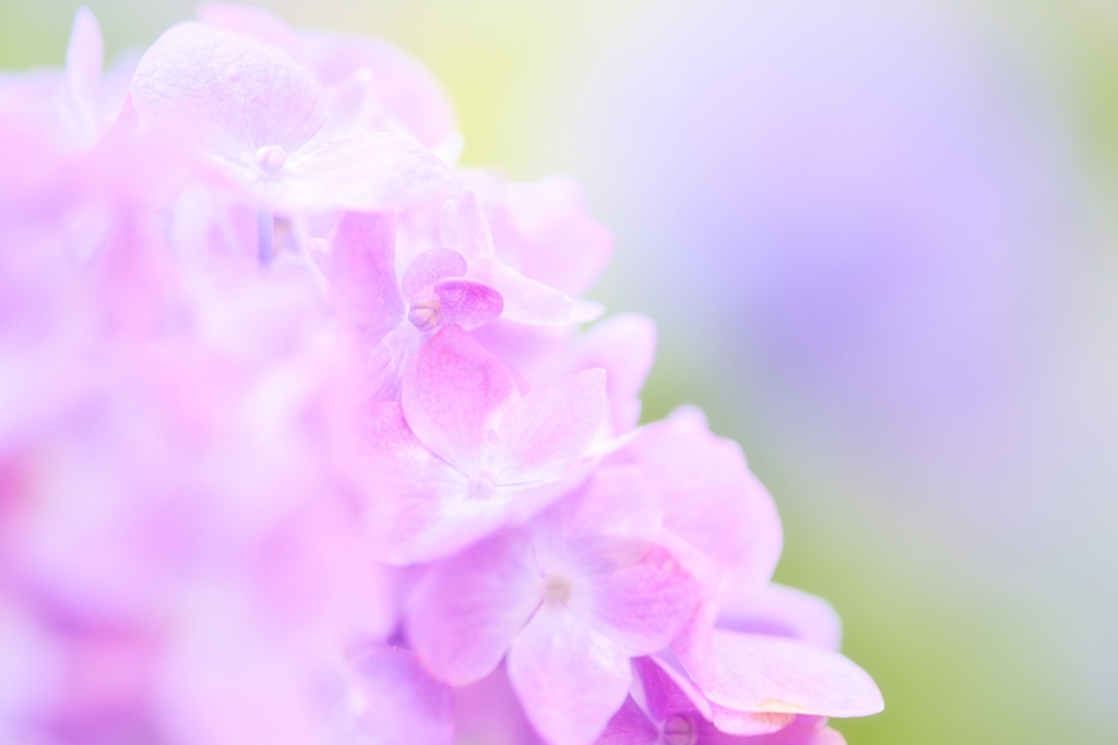 DSCF0769