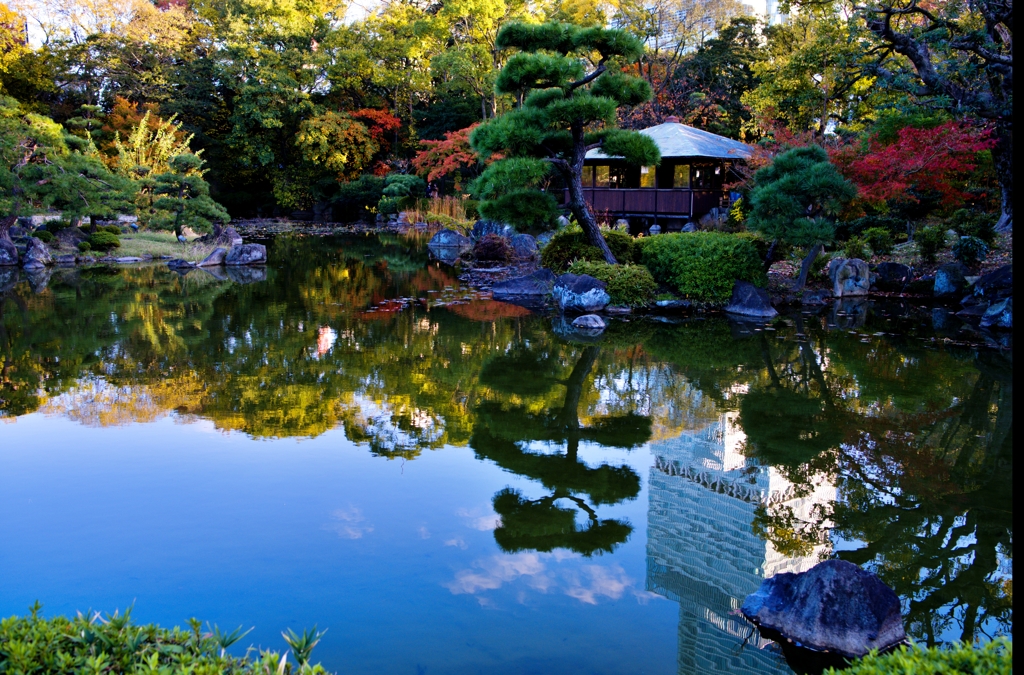 慶沢園2020年11月21日