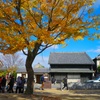 奈良公園