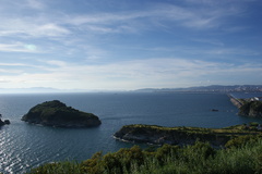 ｓａｉｋａｚａｋｉ