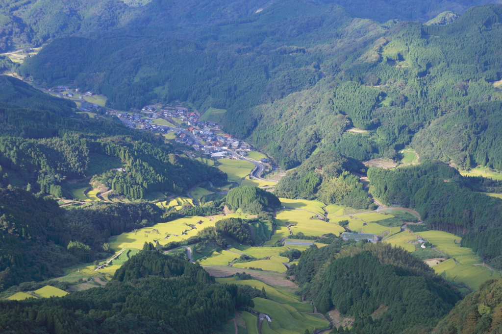 八幡岳から棚田2