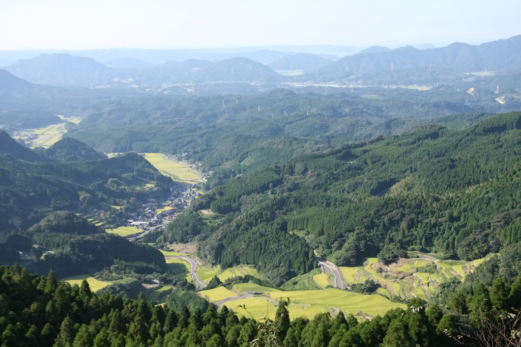 棚田1