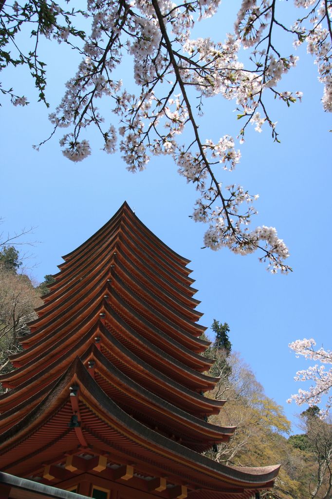 奈良・談山神社にて4