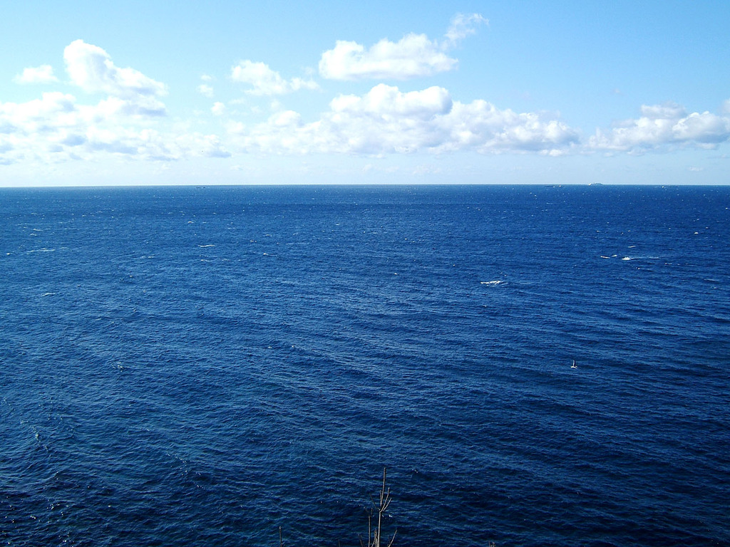 海、空