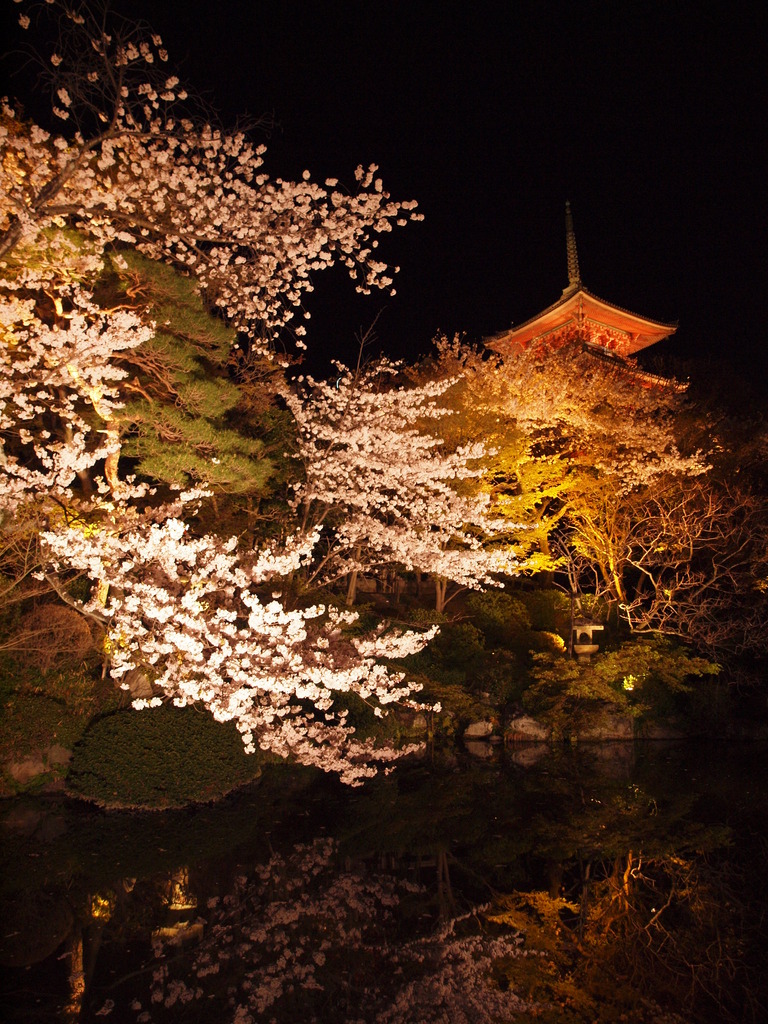 Japan Beautiful
