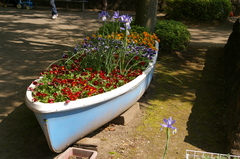 ノアの箱舟